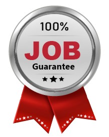 100% Job guarantee